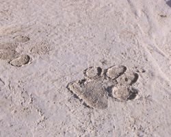 Ms’in Vizöründen 45 Kare” Sanal Sergisi